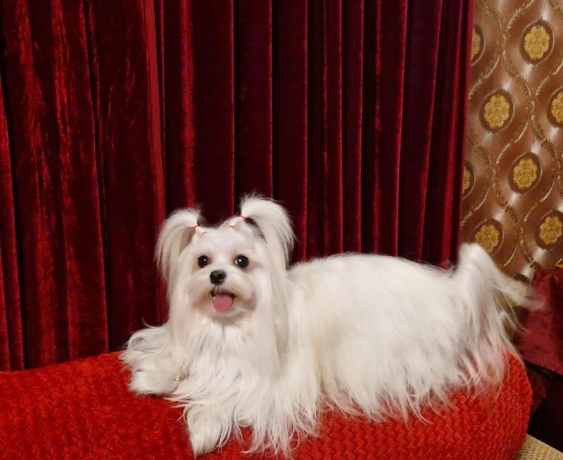 Ulvi2016 uploaded   85  day/s  ago