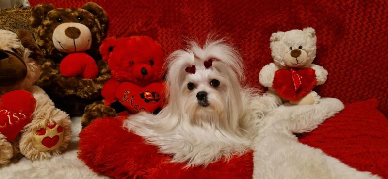 Ulvi2016 uploaded   71  day/s  ago