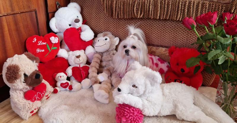 Ulvi2016 uploaded   2  day/s  ago