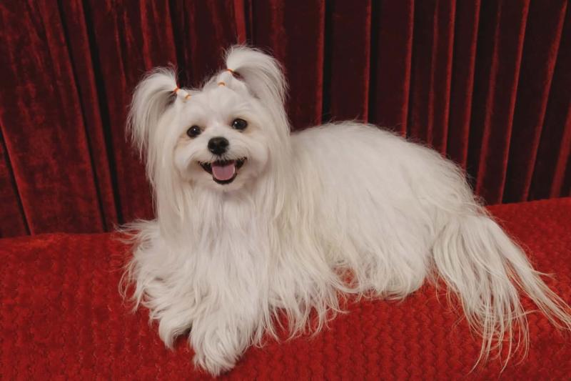 Ulvi2016 uploaded   73  day/s  ago