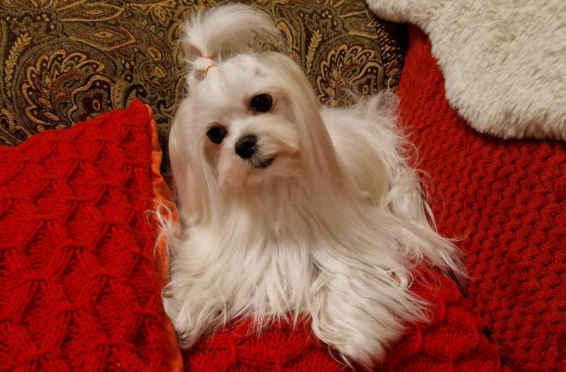 Ulvi2016 uploaded   73  day/s  ago