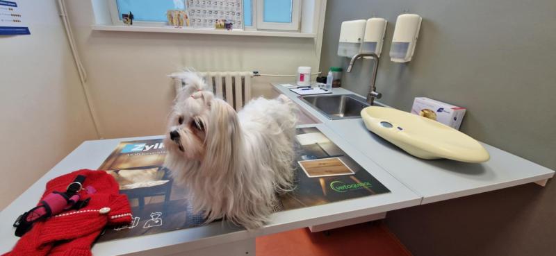 Ulvi2016 uploaded   31  day/s  ago