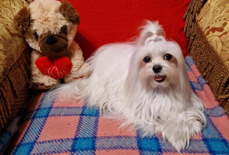 Ulvi2016 uploaded   24  day/s  ago