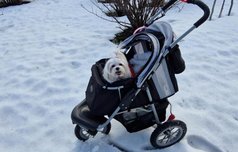 Ulvi2016 uploaded   38  day/s  ago