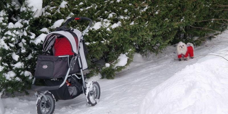 Ulvi2016 uploaded   99  day/s  ago