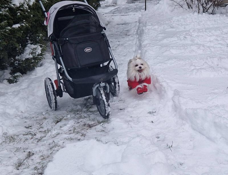 Ulvi2016 uploaded   99  day/s  ago