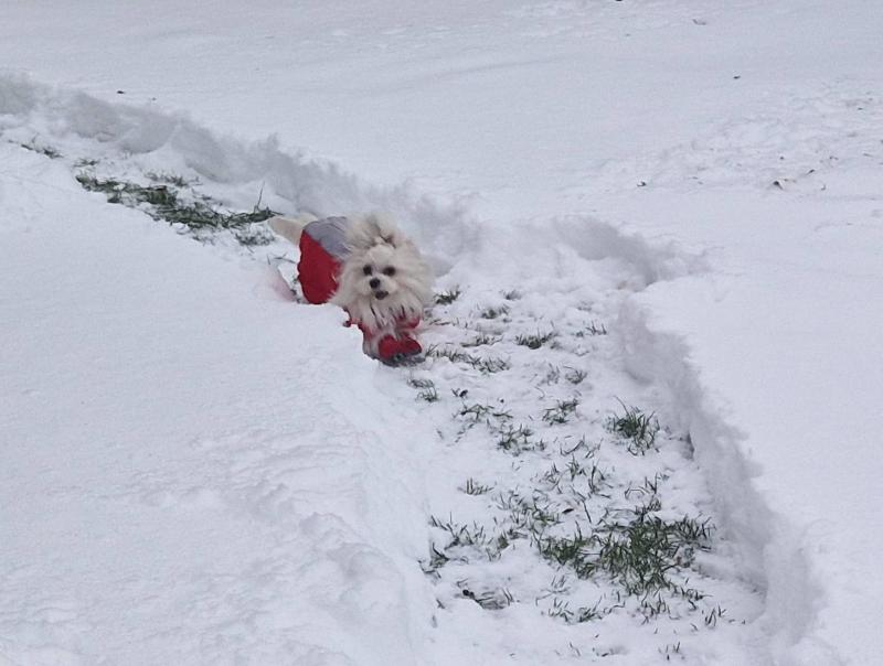 Ulvi2016 uploaded   2  day/s  ago