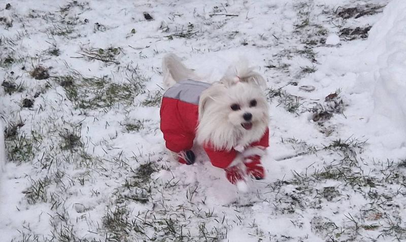 Ulvi2016 uploaded   2  day/s  ago