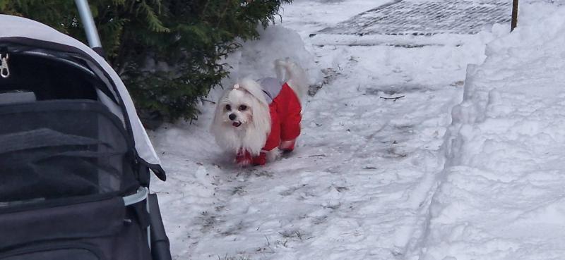 Ulvi2016 uploaded   2  day/s  ago