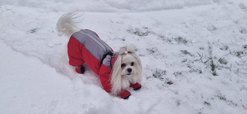 Ulvi2016 uploaded   2  day/s  ago