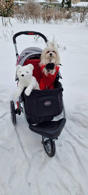 Ulvi2016 uploaded   90  day/s  ago