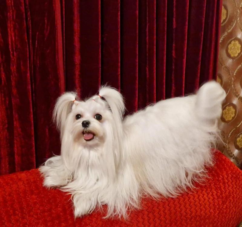 Ulvi2016 uploaded   85  day/s  ago