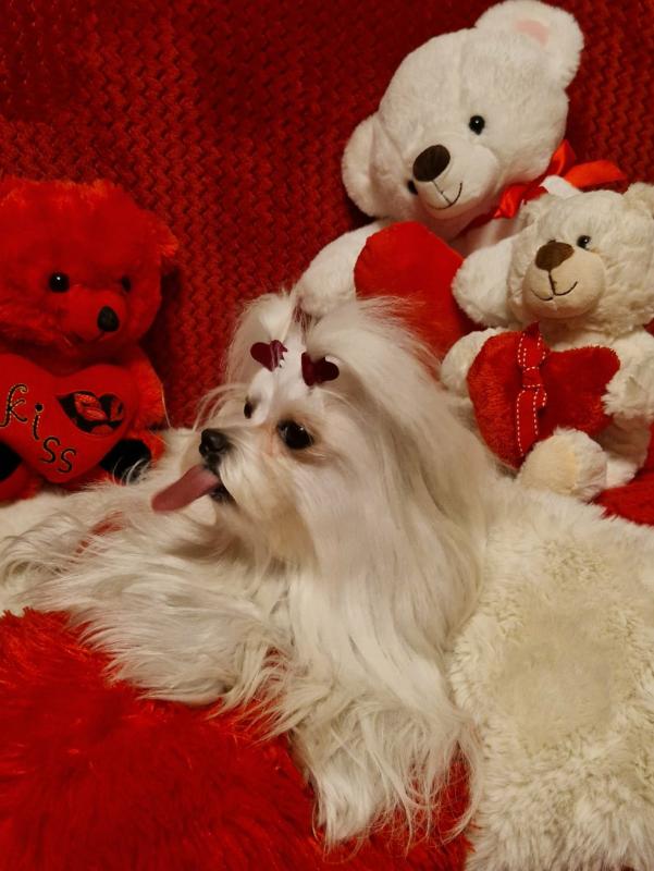 Ulvi2016 uploaded   71  day/s  ago