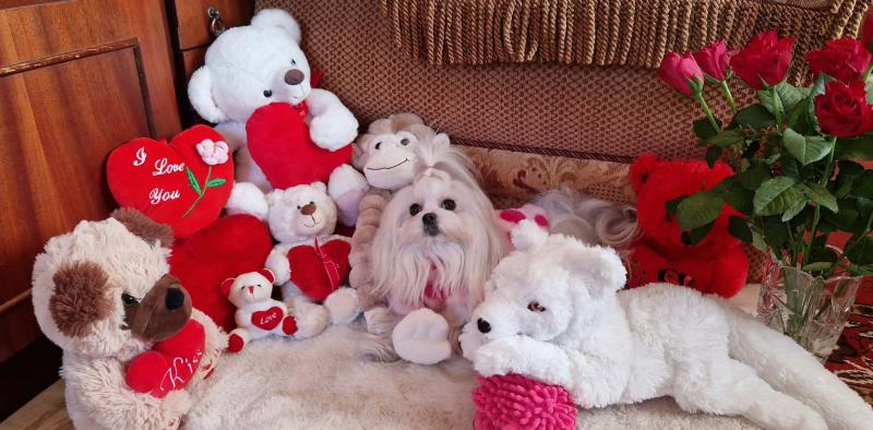 Ulvi2016 uploaded   2  day/s  ago