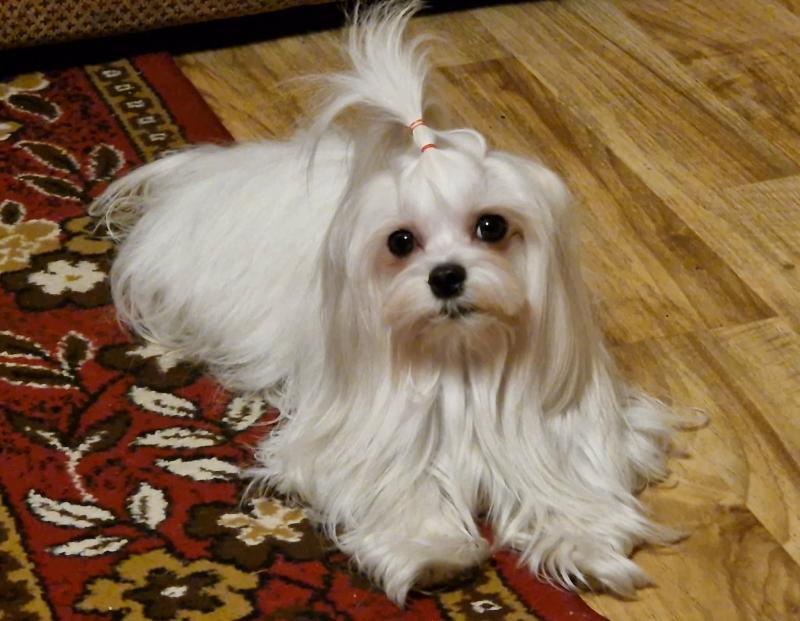 Ulvi2016 uploaded   73  day/s  ago