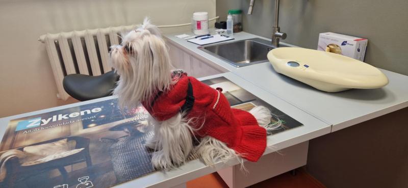 Ulvi2016 uploaded   31  day/s  ago