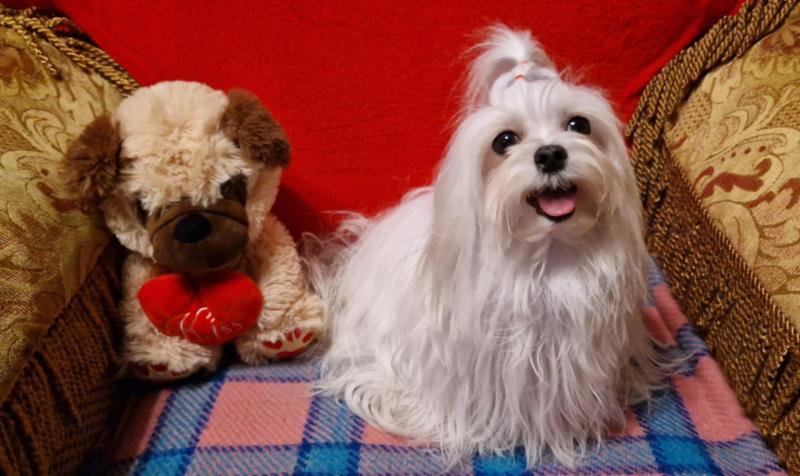 Ulvi2016 uploaded   24  day/s  ago