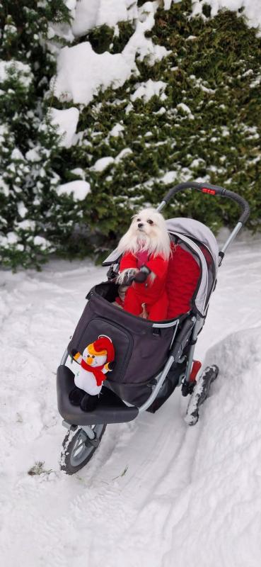 Ulvi2016 uploaded   99  day/s  ago