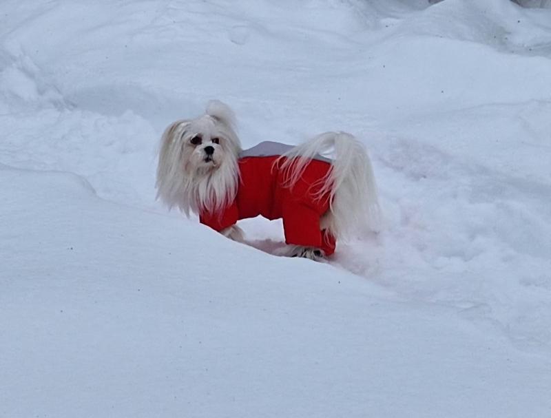 Ulvi2016 uploaded   90  day/s  ago