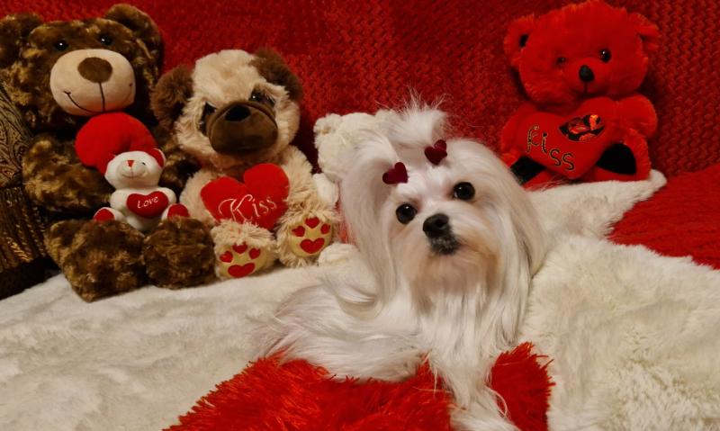 Ulvi2016 uploaded   71  day/s  ago