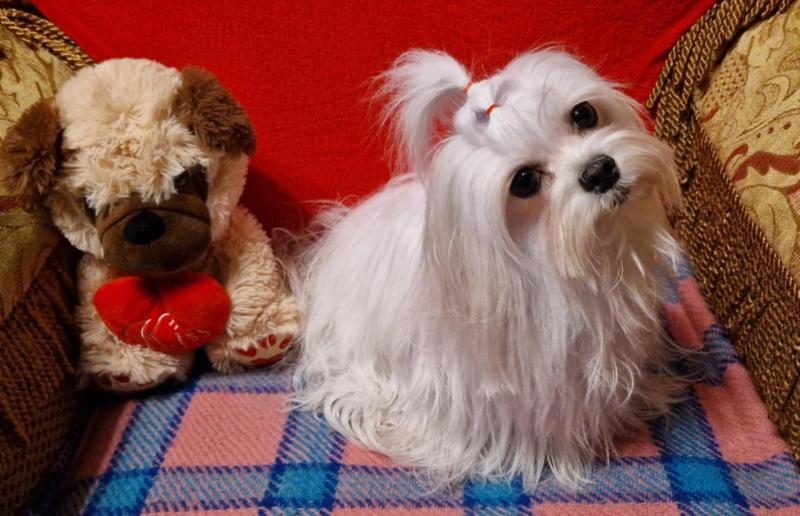 Ulvi2016 uploaded   24  day/s  ago