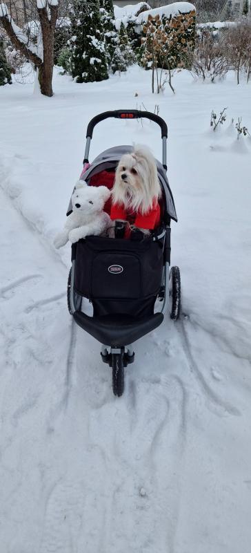 Ulvi2016 uploaded   90  day/s  ago