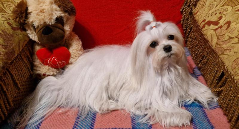 Ulvi2016 uploaded   24  day/s  ago