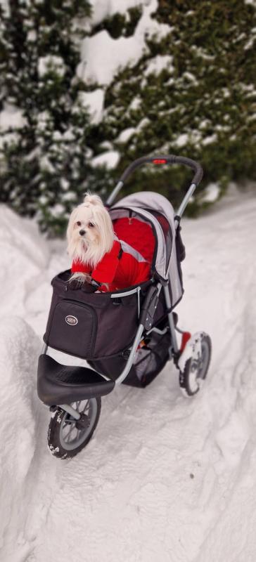 Ulvi2016 uploaded   99  day/s  ago