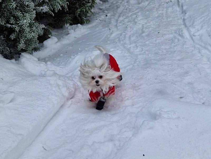 Ulvi2016 uploaded   90  day/s  ago