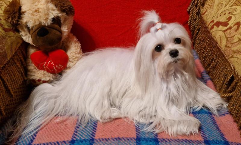 Ulvi2016 uploaded   24  day/s  ago