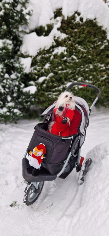 Ulvi2016 uploaded   99  day/s  ago