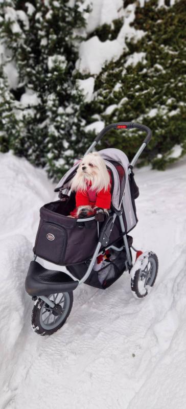 Ulvi2016 uploaded   99  day/s  ago