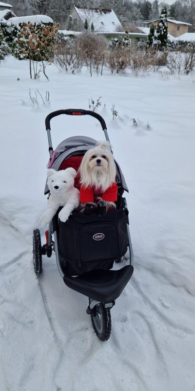 Ulvi2016 uploaded   90  day/s  ago