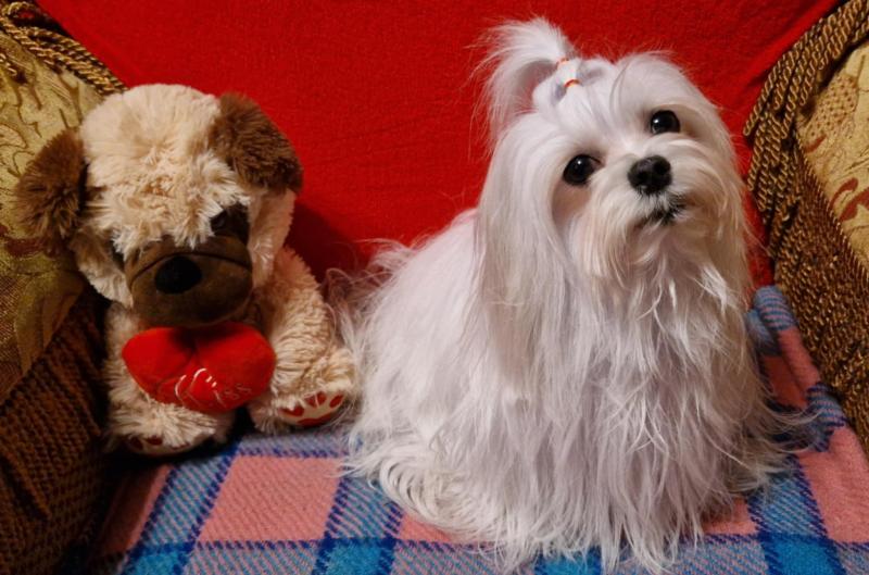 Ulvi2016 uploaded   24  day/s  ago