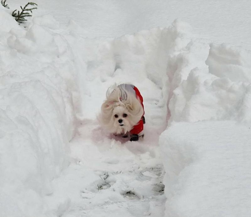 Ulvi2016 uploaded   99  day/s  ago