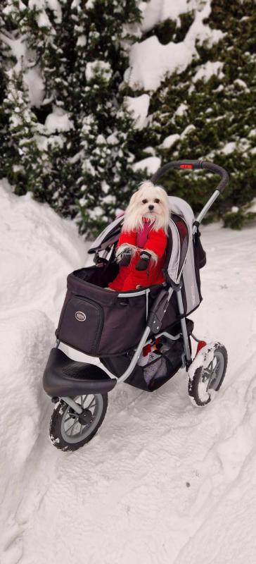 Ulvi2016 uploaded   99  day/s  ago