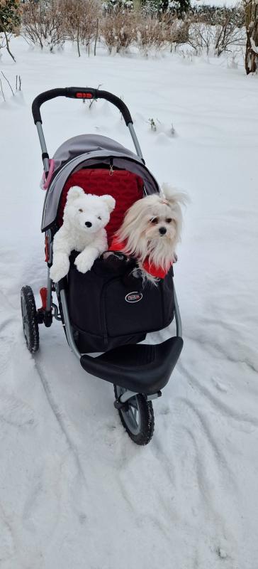 Ulvi2016 uploaded   90  day/s  ago