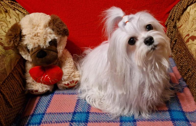 Ulvi2016 uploaded   24  day/s  ago