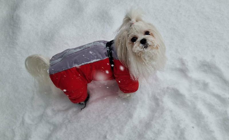 Ulvi2016 uploaded   99  day/s  ago