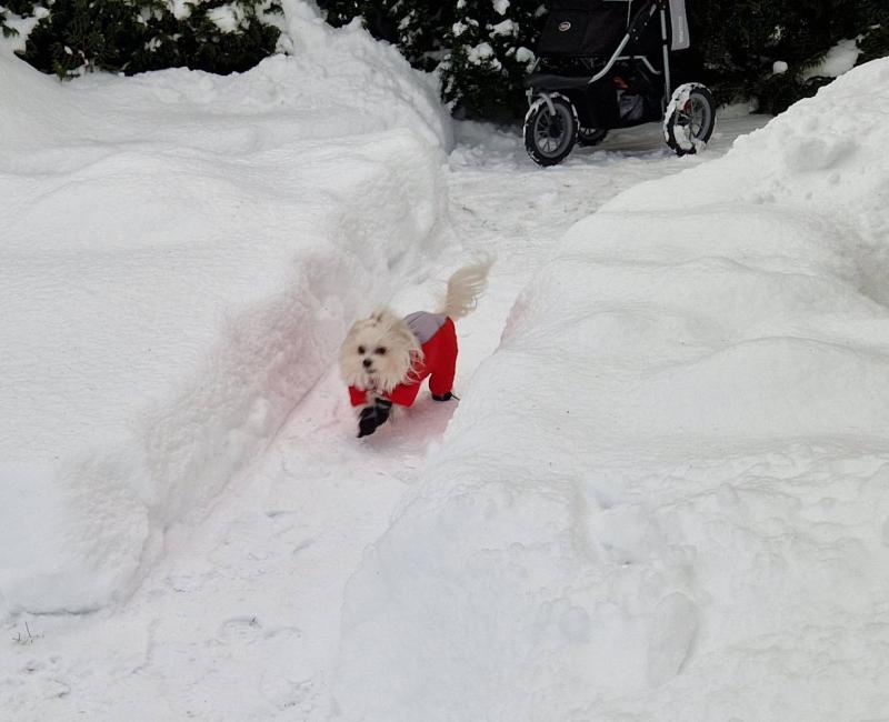 Ulvi2016 uploaded   99  day/s  ago