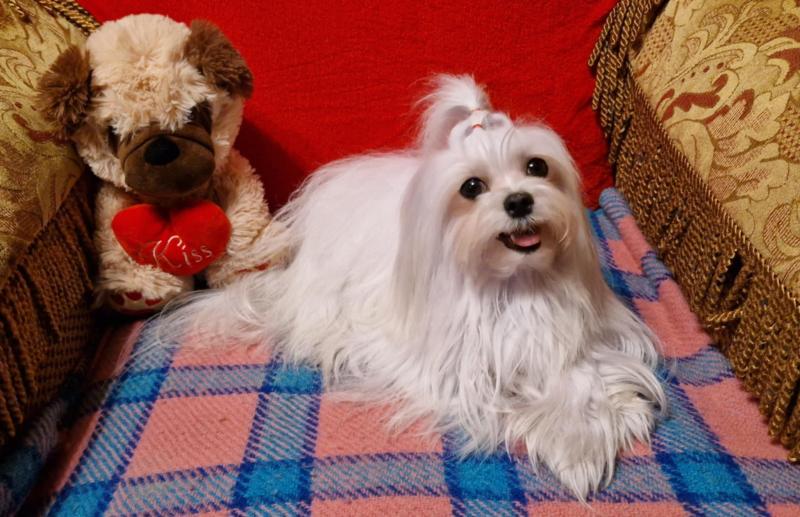 Ulvi2016 uploaded   24  day/s  ago