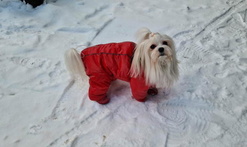 Ulvi2016 uploaded   99  day/s  ago