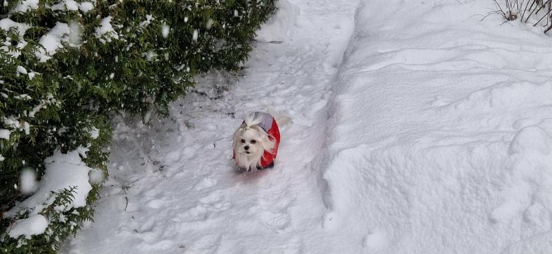 Ulvi2016 uploaded   99  day/s  ago