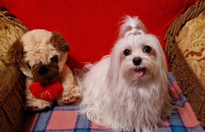 Ulvi2016 uploaded   24  day/s  ago