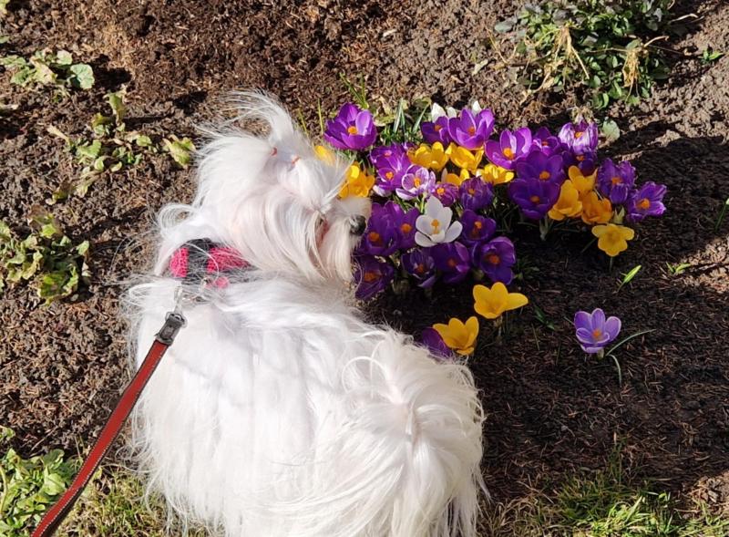 Ulvi2016 uploaded   21  day/s  ago