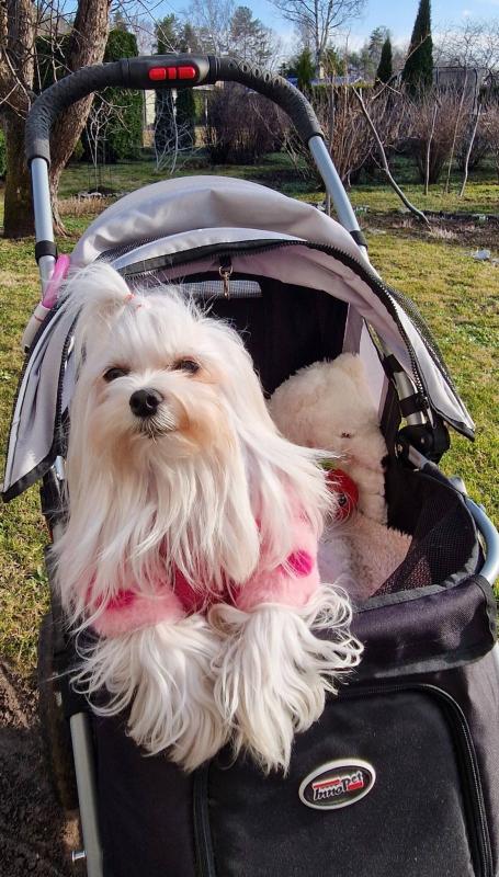 Ulvi2016 uploaded   20  day/s  ago