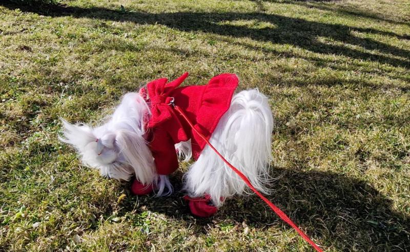 Ulvi2016 uploaded   9  day/s  ago