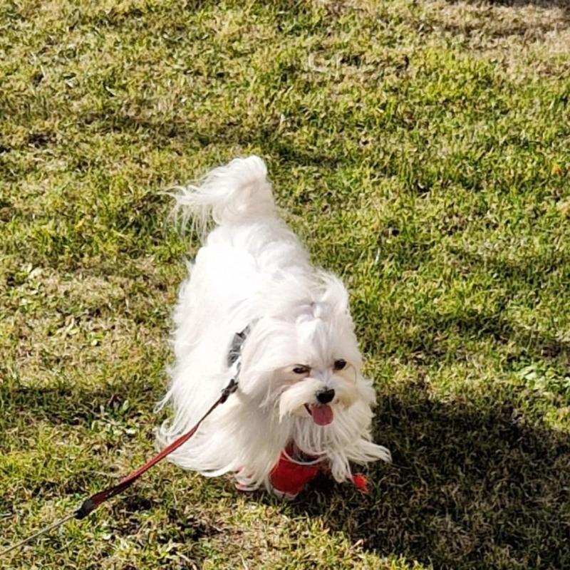 Ulvi2016 uploaded   21  day/s  ago