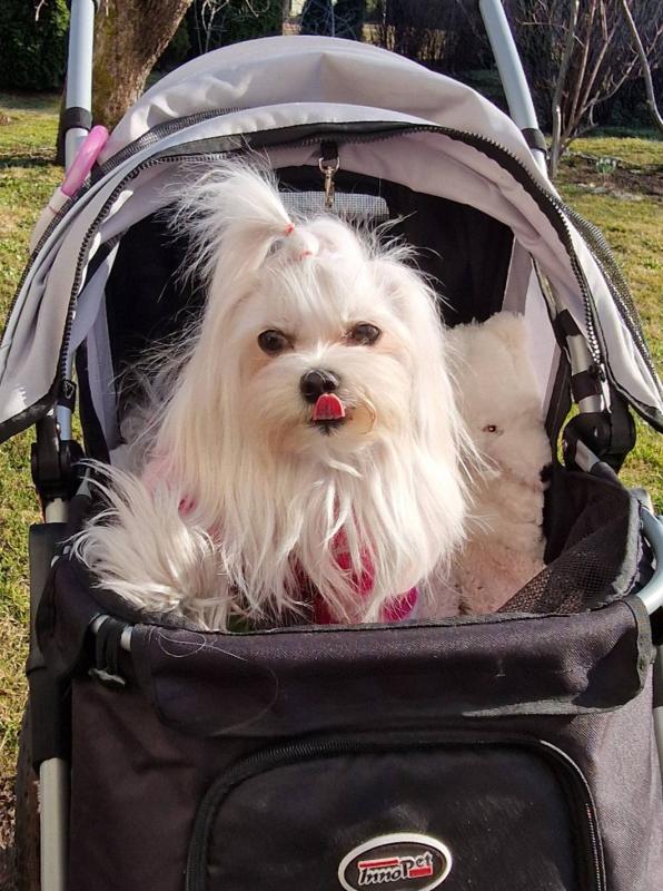 Ulvi2016 uploaded   20  day/s  ago