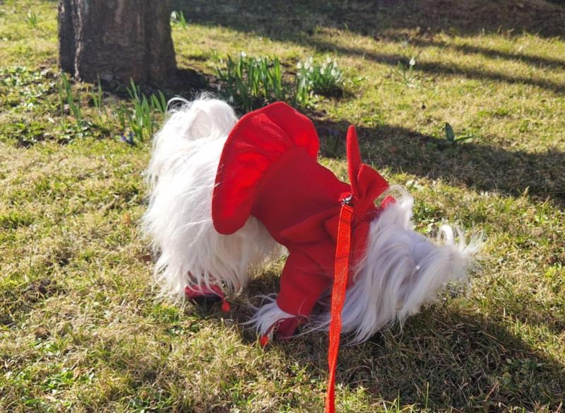 Ulvi2016 uploaded   9  day/s  ago